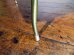 画像12: UK Center table TA0638