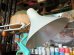 画像3: DK Table lamp LA0190