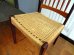 画像13: DK Dining Chair SE0605