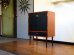 画像2: DK Cabinet FF1696