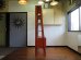 画像24: DK Open shelf FF16959