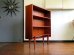 画像1: DK Book Shelf FF1703 (1)