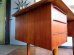 画像9: DK Desk TA0646