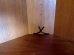 画像24: DK Corner cabinet FF1710