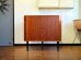 画像1: DK Corner cabinet FF1710 (1)