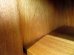 画像22: DK Shelf FF1673
