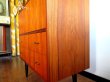 画像6: DK Cabinet FF1138