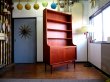 画像1: DK Book shelf FF1192