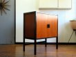 画像2: DK Cabinet FF1431