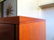 画像16: DK Cabinet FF1584