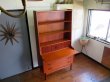 画像3: DK Book shelf FF1624