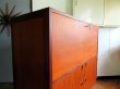 画像8: DK Cabinet FF1627