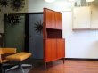 画像3: DK Corner cabinet FF1650