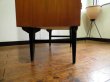 画像30:  DK Cabinet FF1674